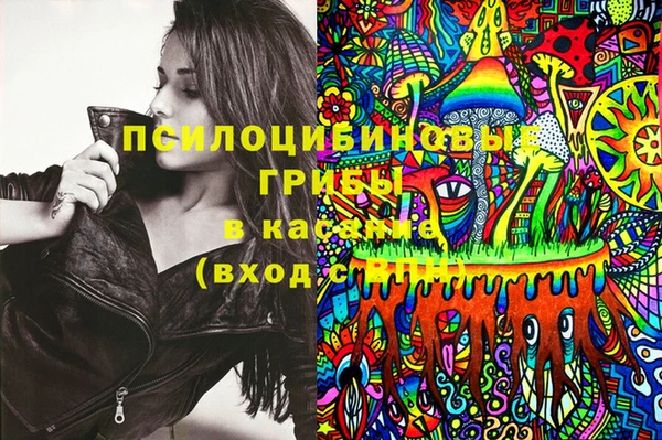 Альфа ПВП Белокуриха