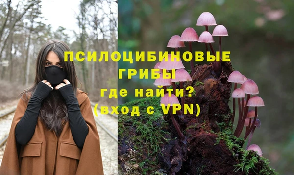 Альфа ПВП Белокуриха