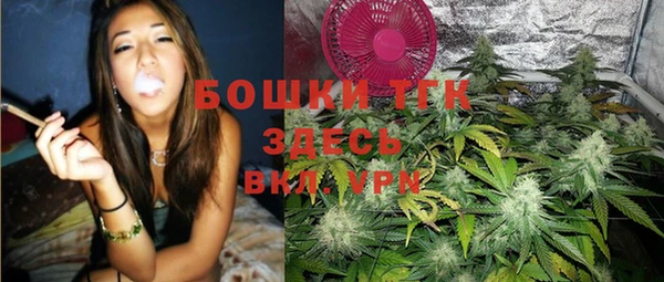 Альфа ПВП Белокуриха